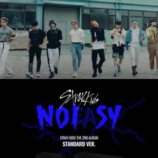 STRAY KIDS - NOT EASY STANDARD VER.