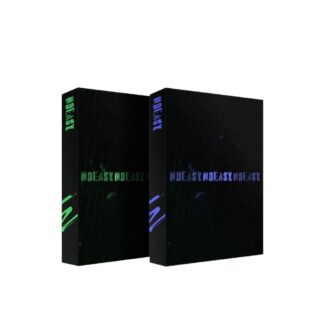 STRAY KIDS - NOT EASY STANDARD VER.