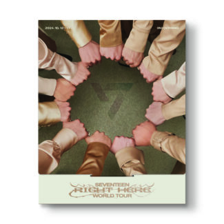 SEVENTEEN - WORLD TOUR - RIGHT HERE